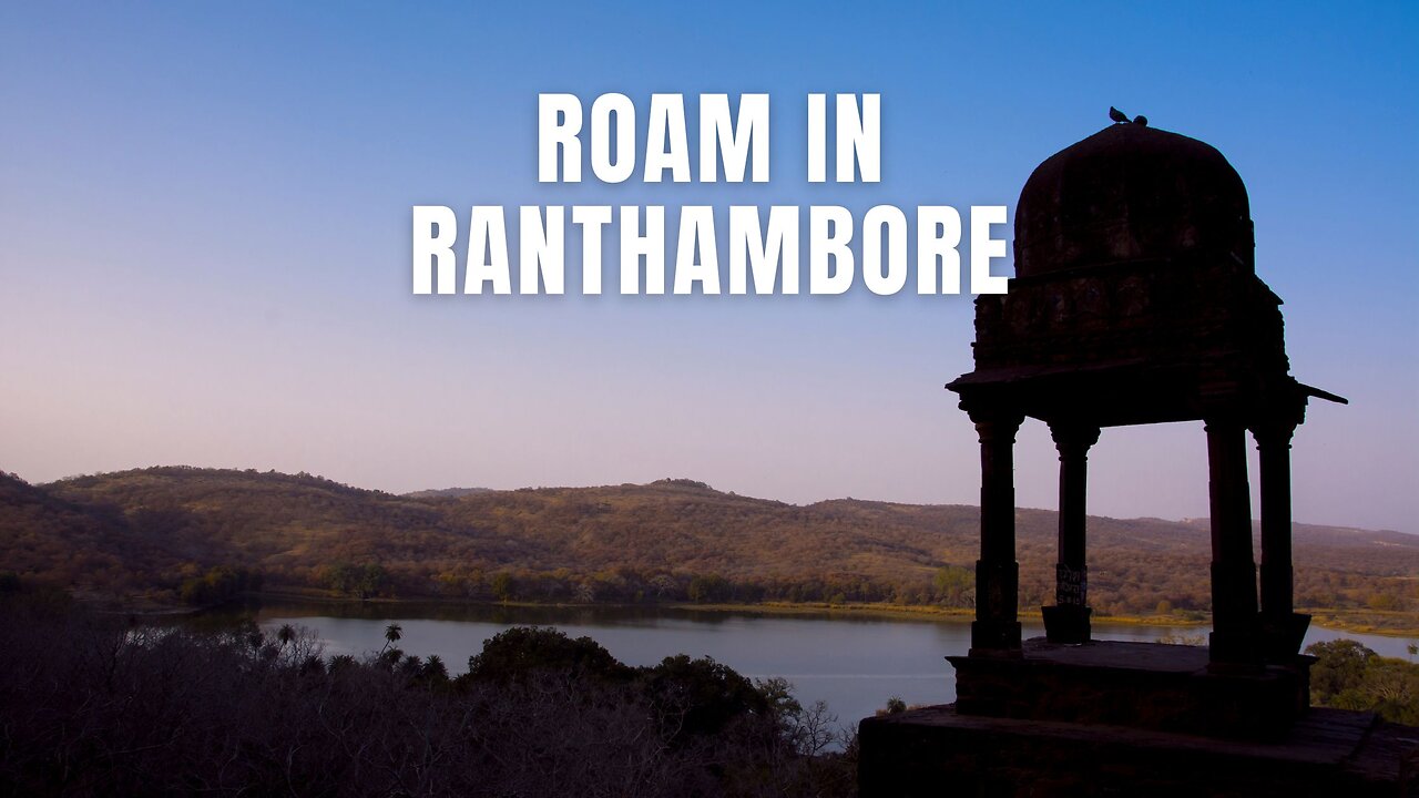 Roam in Ranthambore #ranthambore #WildlifeMusic