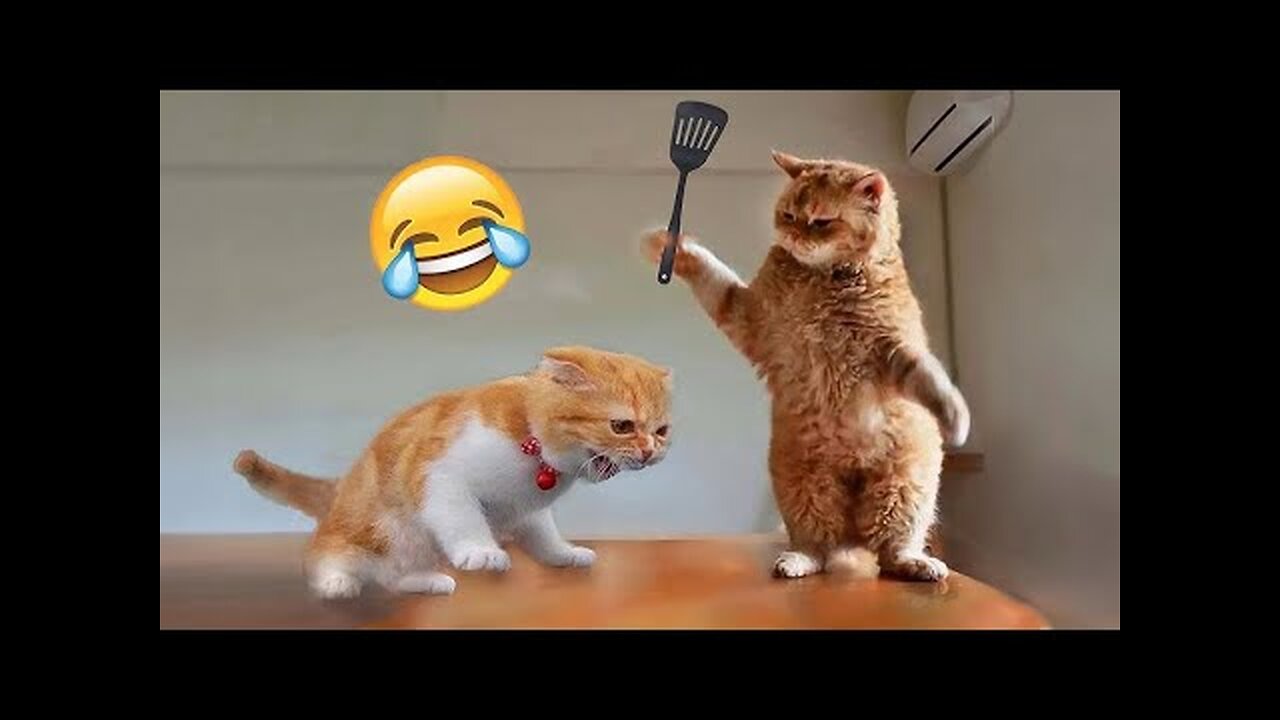 Funniest Cats and Dogs 🐶🐱 | Hilarious Animal Fails & Adorable Moments.