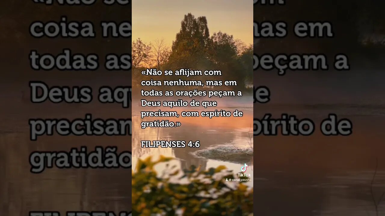 Filipenses 4:6 #canalyausha