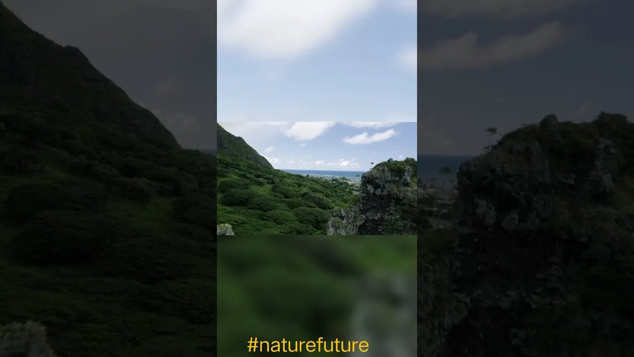 video 20220107 162017 edit
