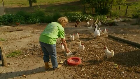 The Pipeline Deception