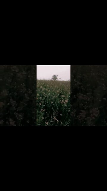 aasama tera mera huaa 🤗🤗🥰 #youtubeshorts #shorts #youtube #shortvideo #shortyoutube