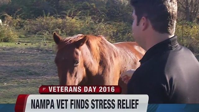 Nampa veteran finds peace through horses