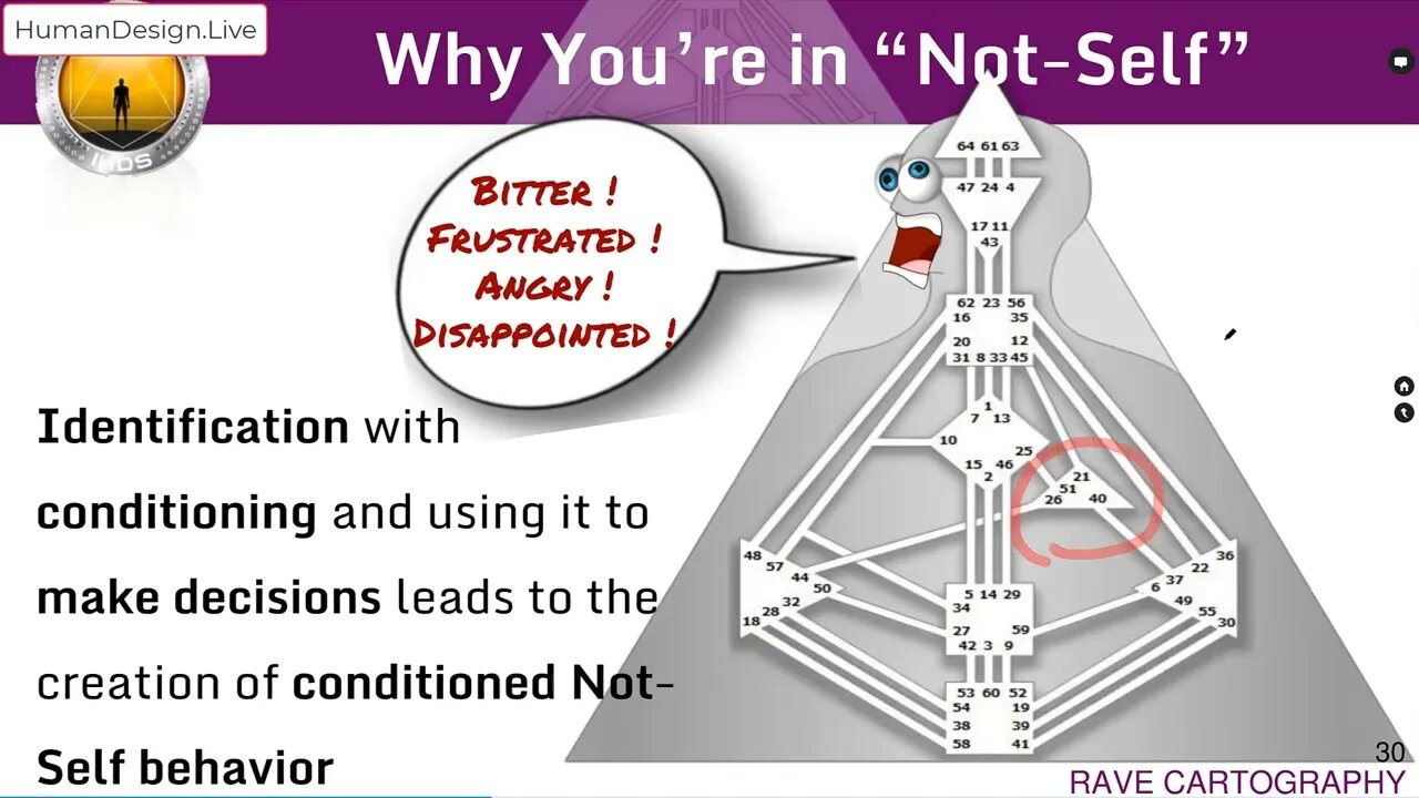 Why You Are Bitter, Frustrated, Angry or Disappointed: Rave Cartography Lecture Excerpt