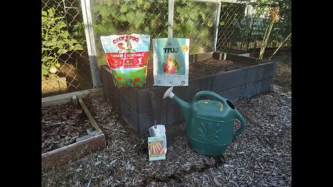 Planting Carrots For A Fall Crop 8/13/24