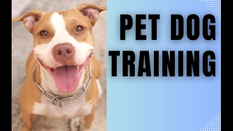 #PET #DOG # TRAINING