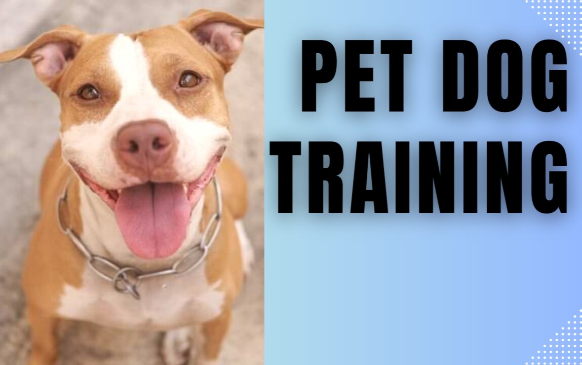 #PET #DOG # TRAINING