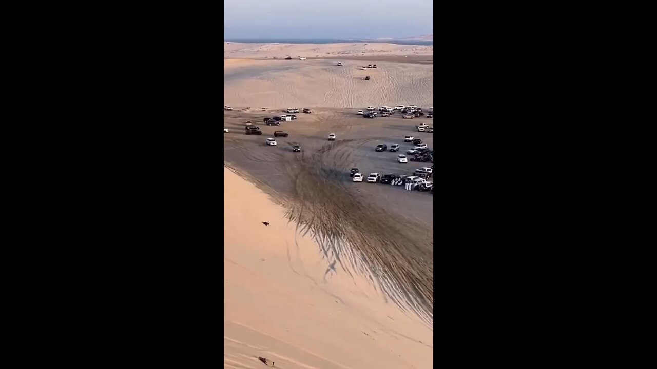 Desert safari