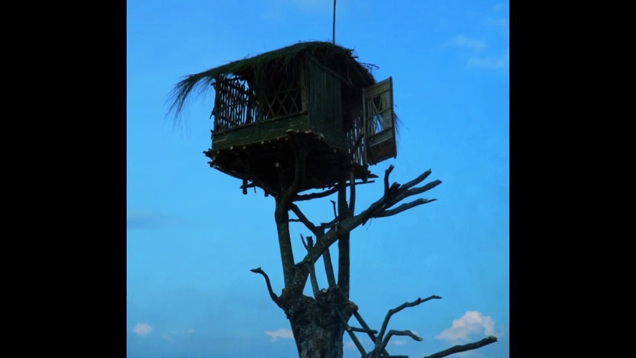 "Treehouse Dreams: The Enchanted Forest Suspended Home"