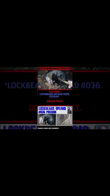 PREVIEW FROM UPLOAD #036