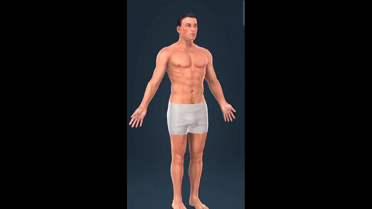 complete male body structure 👁️