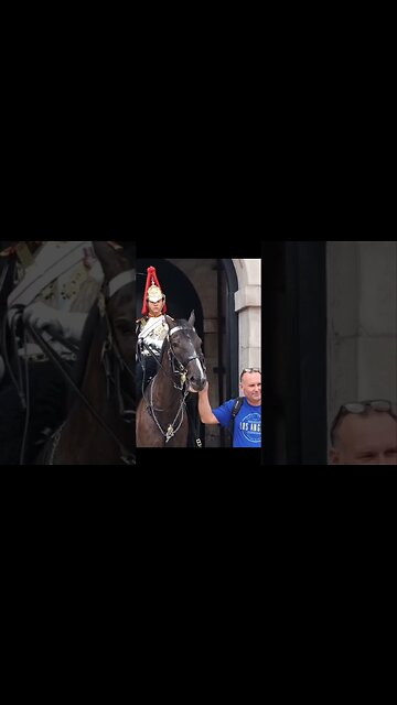 Stand back, do not touch the reins #thekingsguard