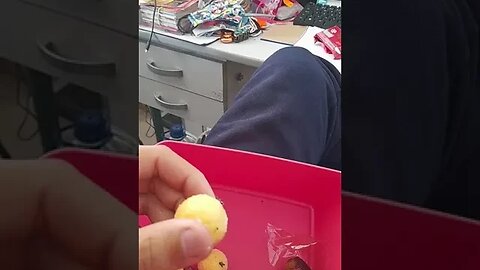 CRAVO NÃO SERVE PRA NADA