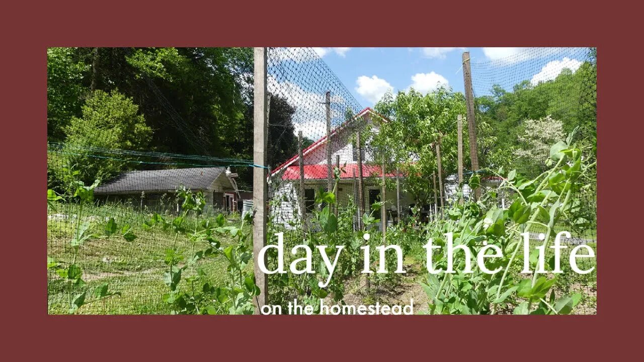 Day in the life||laundry||cook with me||gardening
