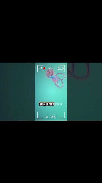 Pumpkin Toadlet - The Worst Jumper in Frog Family