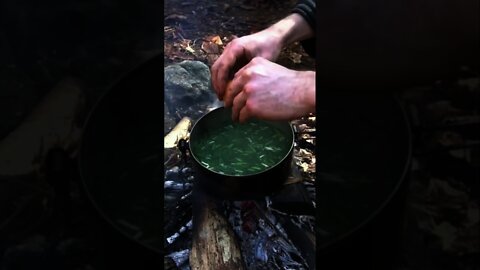 Foraged Ramen Soup Recipe. Wild Edible greens like Chickweed, Dead Nettle, and Onion Grass. Eggdrop.