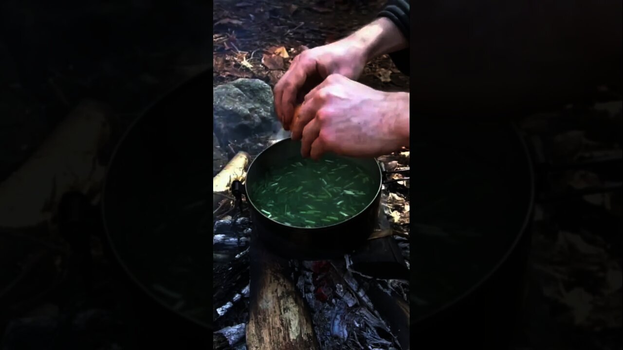 Foraged Ramen Soup Recipe. Wild Edible greens like Chickweed, Dead Nettle, and Onion Grass. Eggdrop.