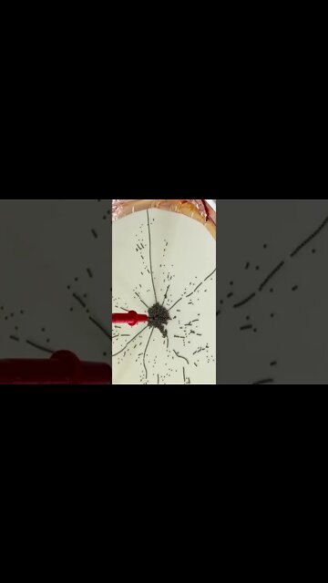 found this inside me