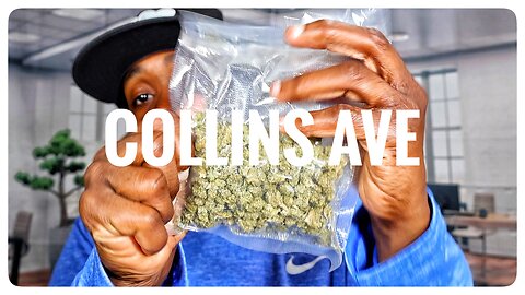 Collins Ave THCA Strain Review 🌴🔥 | Is This JK Distro's Top Pick? 🤔