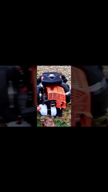 Best Blowers on the Market