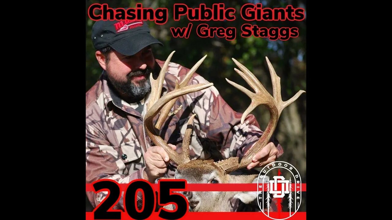 205: Big Public Land Whitetails | Greg Staggs