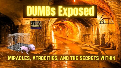 DUMBs Uncovered! Wstrząsające sekrety pod ziemią: Diego Garcia Malaysia Airlines MH370, ...