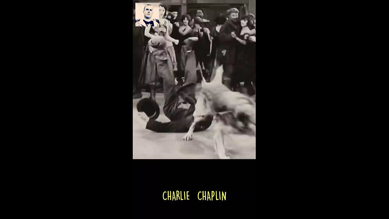 charlie funny dance 😝😝