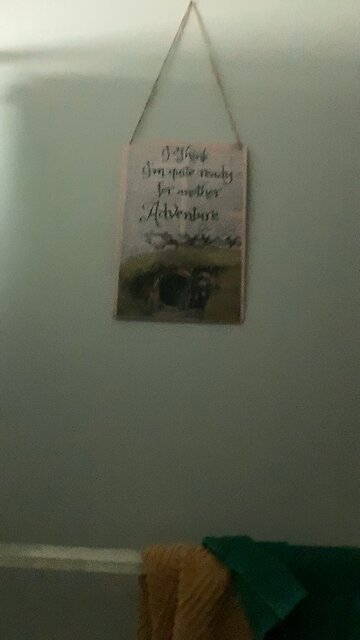 Say no to toilet adventures