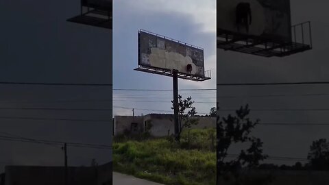 CLIMBING A HUGE POLE TO MAKE GRAFFITI #graffiti #graffitiart #shorts