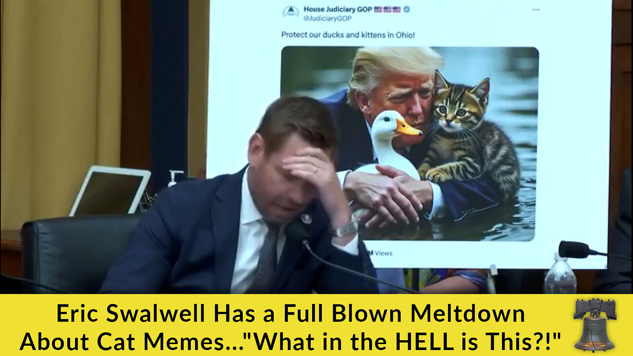 Eric Swalwell Has a Full Blown Meltdown About Cat Memes..."What in the HELL is This?!"