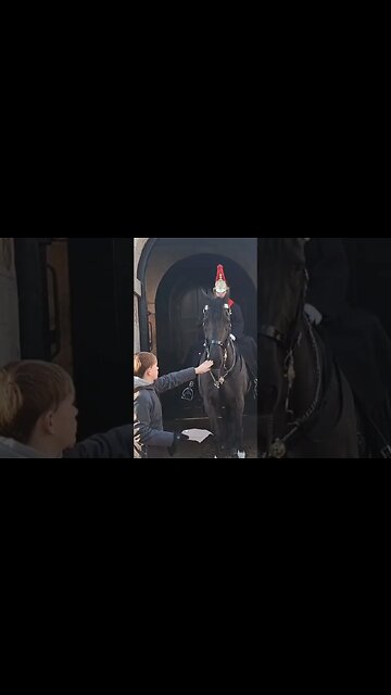 Glove scares horse #horseguardsparade