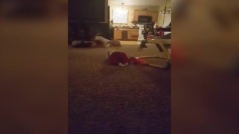 A Baby Boy And A Dog Love Playing Together