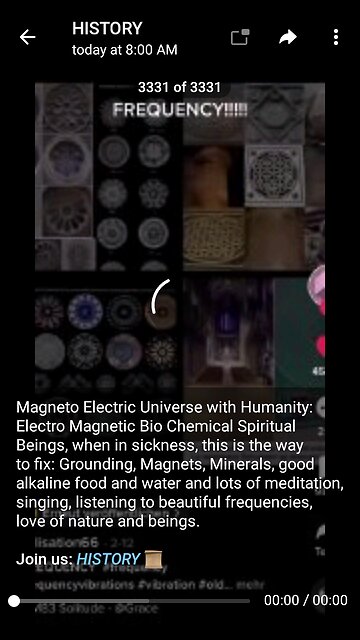 Documentary: Magnetic Beings