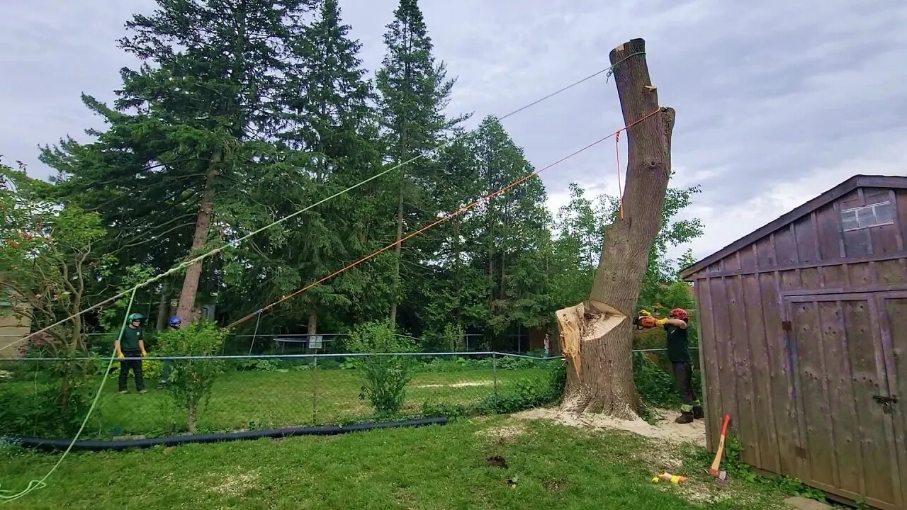 Dropping the Leaning Peg with the Maasdam and Fiddle Block - Storm Damaged Maple Day 2 Part 2