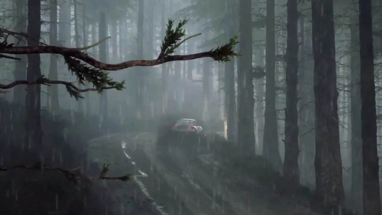 DiRT Rally 2 - Replay - Renault 5 Turbo at Sweet Lamb