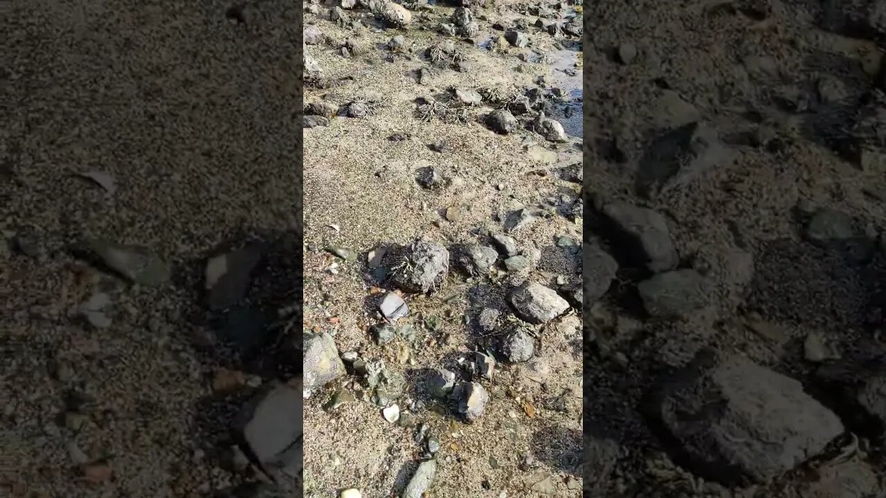 Enclosure Bay Waiheke Island