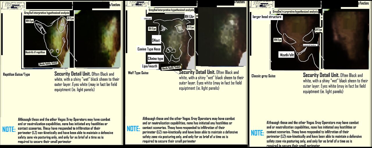 Vidint brief #74 Interdimensional Fishing Expidition - Target Xray Operator Mantises