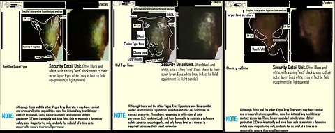 Vidint brief #74 Interdimensional Fishing Expidition - Target Xray Operator Mantises
