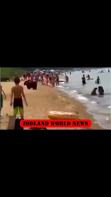 ►🇷🇺🇷🇺🇷🇺 Cooling off in Lake Baikal Southern Siberia