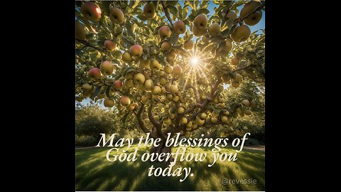 Good Thursday morning! October 31, 2024