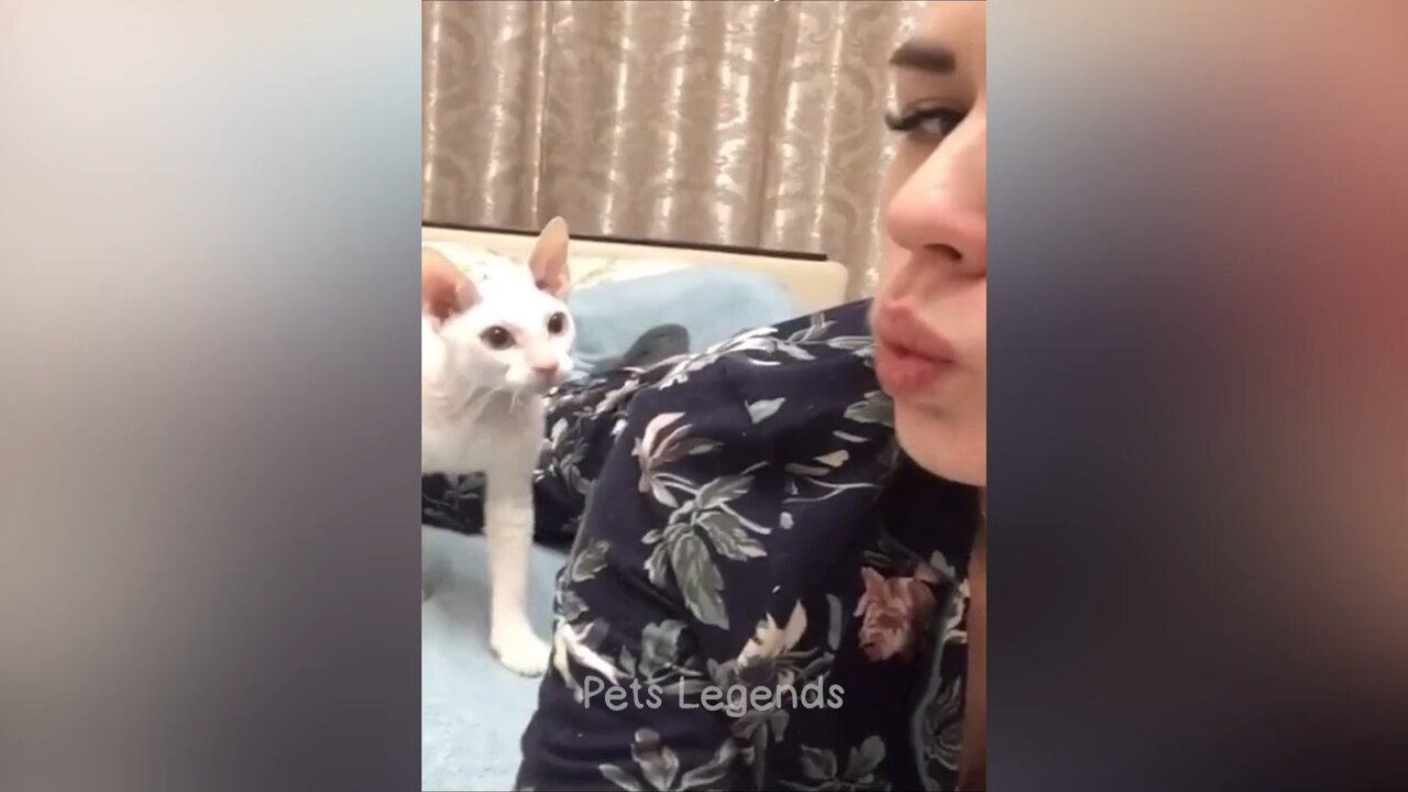 Funniest Animals 2024πNew funny cats and dogs videos ππΆ part 1