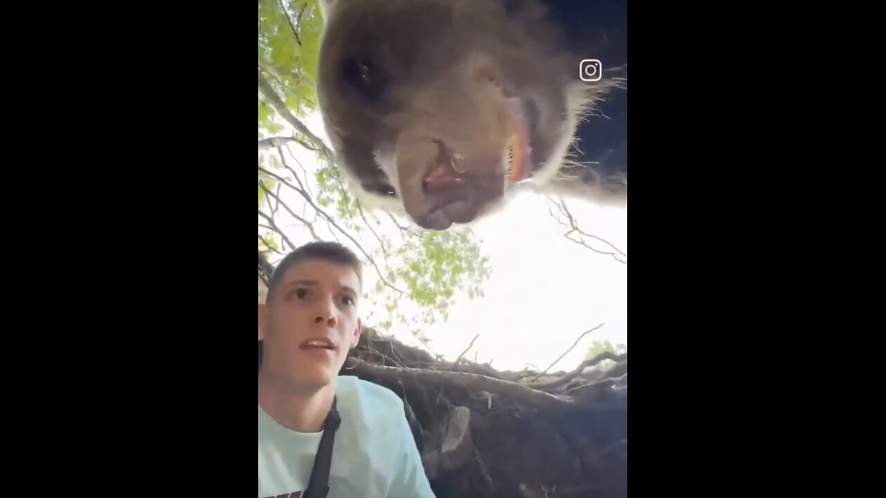 MAN CLOSE ENCOUNTER WITH YOUNG BEAR🌳🪨🚶‍♂️🐻🌲📸HIKING IN BEAR TERRITORY🌲🐻💫