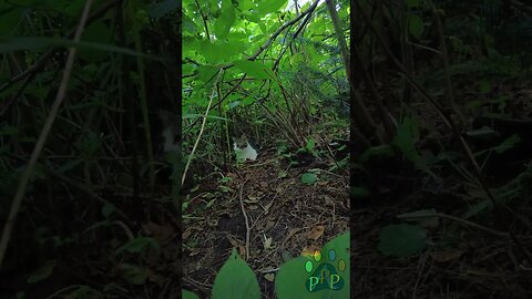 Marshall hides from his siblings.