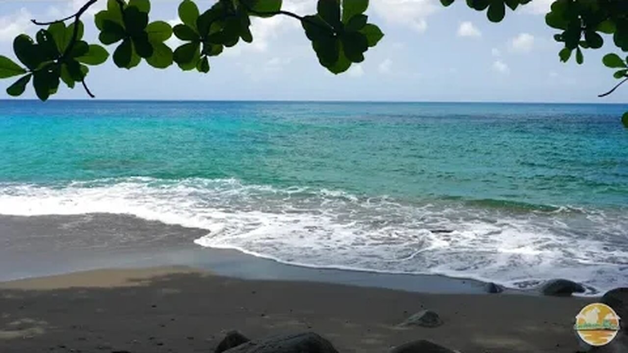 3hrs of the calming sounds of the ocean waves of the Caribbean Sea - Ocean Sounds - Nature ASMR