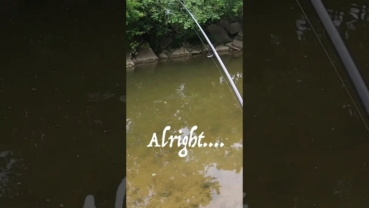 Crankbait spotted bass in Cincinnati Ohio