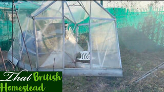 Storm Eunice hit our allotment: damage and repairing our allotment plot