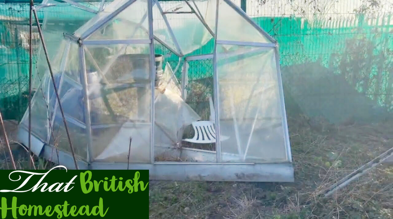 Storm Eunice hit our allotment: damage and repairing our allotment plot