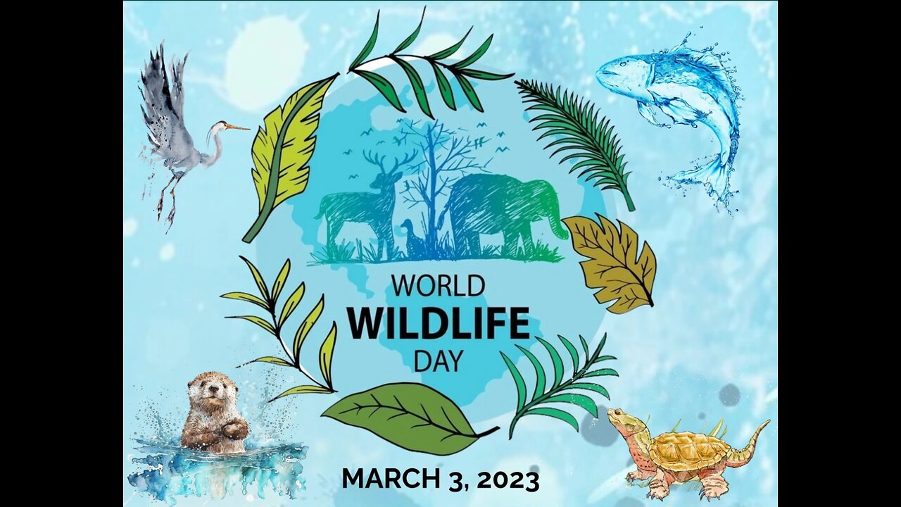 "World Wildlife Day 2024: Embracing Digital Innovation for Conservation Success"