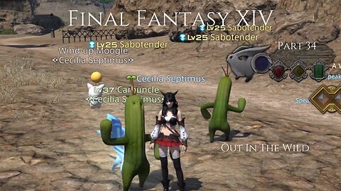 Final Fantasy XIV Part 34 - Out In The Wild