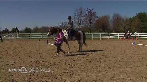 Case Western Reserve University researchers finding out how much therapy animals help